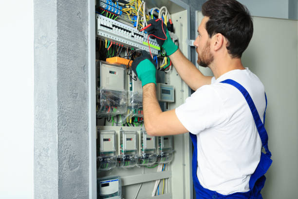 Best Electric Panel Repair  in Bunker Hl, IL